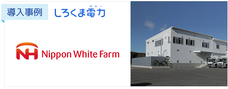 記事トップw800_h313-Whitefarm【導入事例】新電力の「正しい選び方」とは？日本ホワイトファーム社がしろくま電力を選んだ理由とその効果を紹介