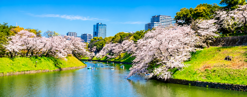 春の電気代の平均はいくら？高くなる原因とすぐにできる節約方法をわかりやすく解説！