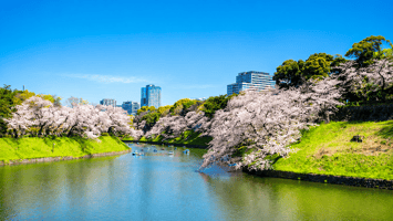 春の電気代の平均はいくら？高くなる原因とすぐにできる節約方法をわかりやすく解説！