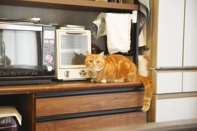 電気代で損しないオーブンの選び方