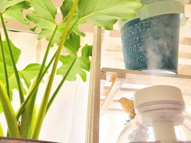 部屋の湿度を上げる5つの方法