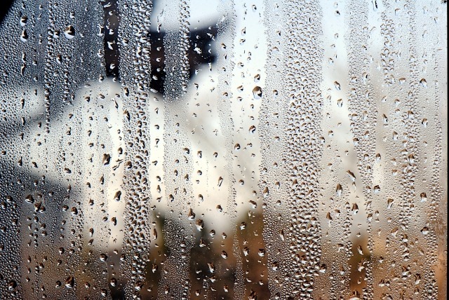 部屋の湿度が適正でないと起こりうるリスク