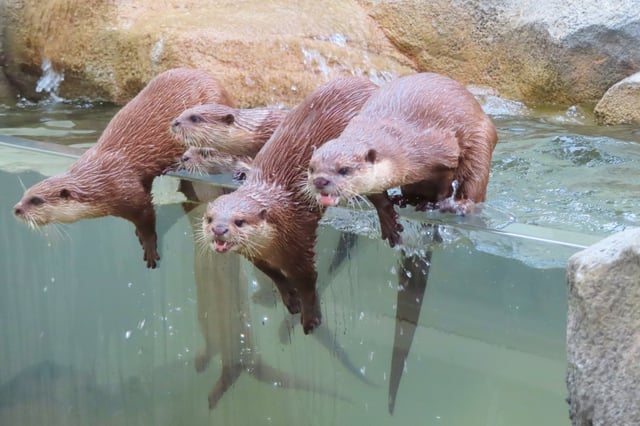 動物園の「飼育・展示設備」の節電・電気代削減方法