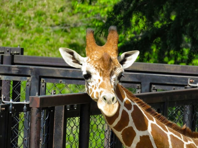 動物園の「その他」の節電・電気代削減方法