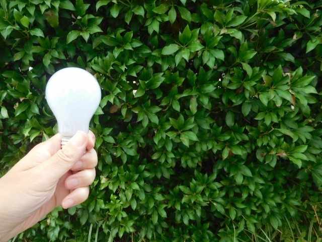 引っ越しは電気契約を見直すタイミングでもある