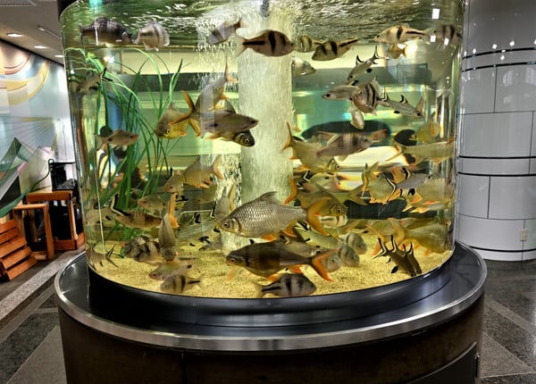 水族館の空調設備の節電・電気代削減方法