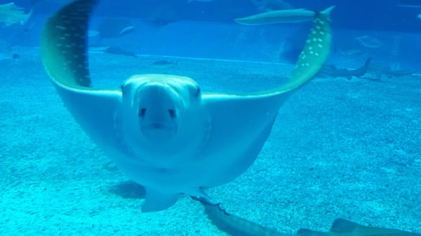 水族館のその他の節電・電気代削減方法
