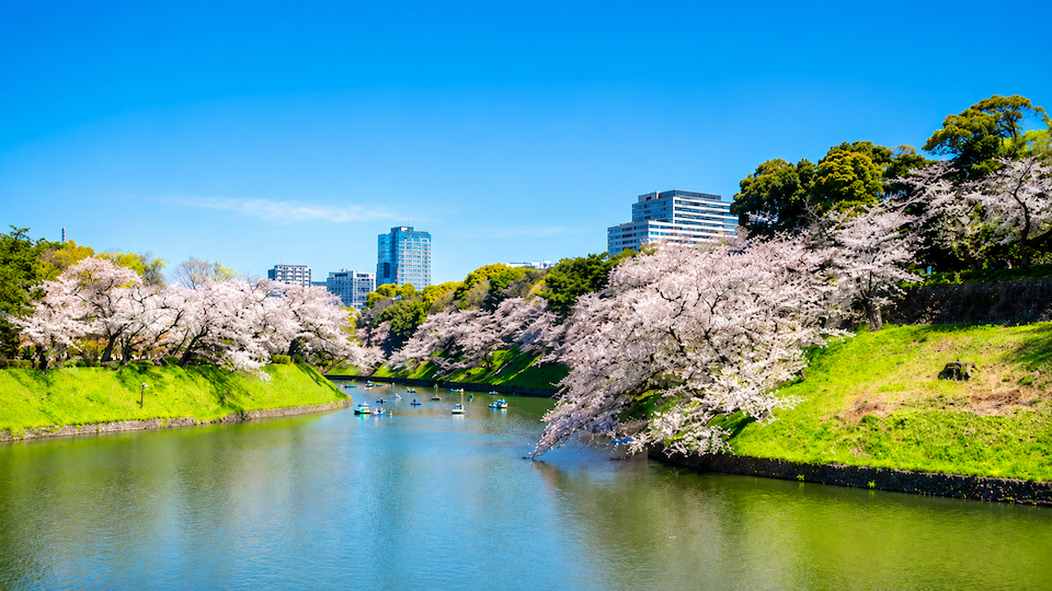 春の電気代の平均はいくら？高くなる原因とすぐにできる節約方法をわかりやすく解説！